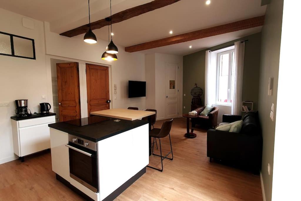 Classe 4 Etoiles - Cybele - Centre Ville 2 Chambres, Cour Privative Et Garage فيين المظهر الخارجي الصورة