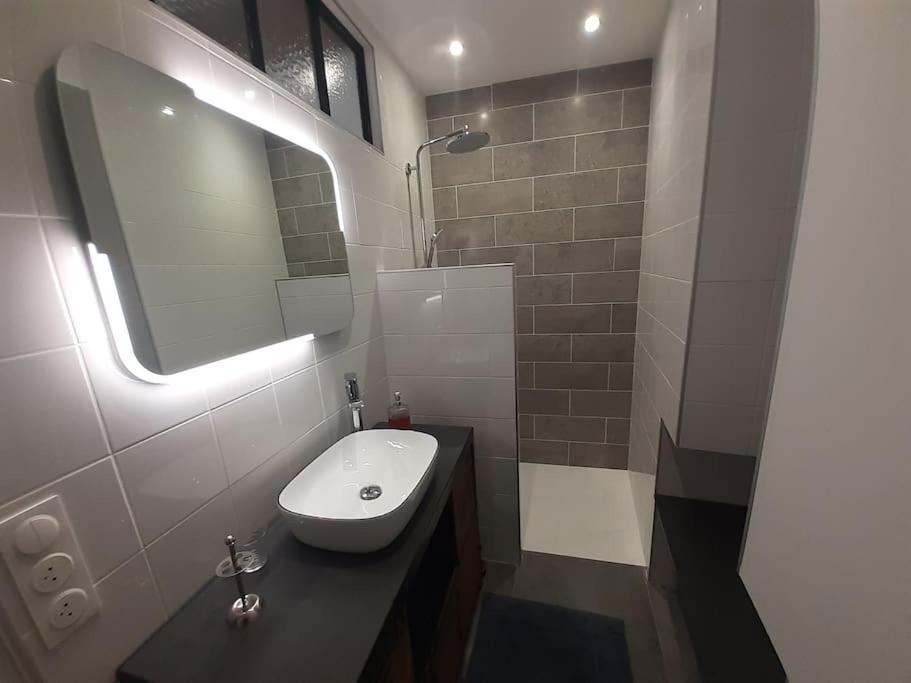 Classe 4 Etoiles - Cybele - Centre Ville 2 Chambres, Cour Privative Et Garage فيين المظهر الخارجي الصورة