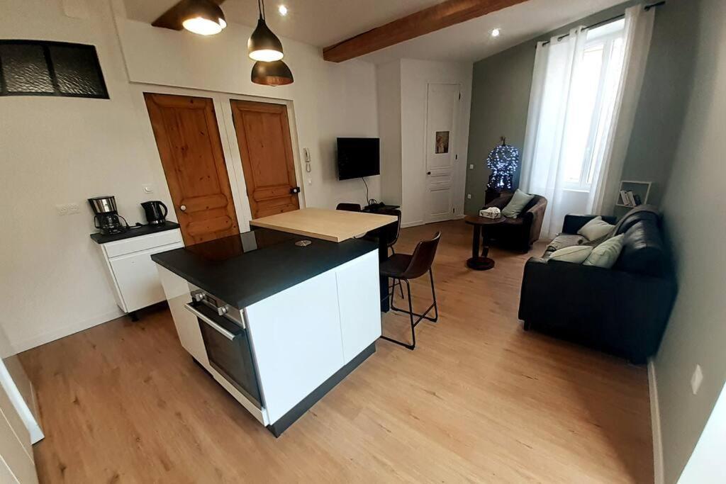 Classe 4 Etoiles - Cybele - Centre Ville 2 Chambres, Cour Privative Et Garage فيين المظهر الخارجي الصورة